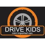 Ícone da DRIVE KIDS CARRINHOS ELETRICOS LTDA