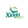 Ícone da XINGU FRUIT POLPAS DE FRUTAS INDUSTRIA E COMERCIO LTDA