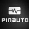 Ícone da PINAUTO AUTOMOVEIS LTDA