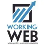 Ícone da WORKING WEB CONSULTORIA E ASSESSORIA EM MARKETING DIGITAL LTDA