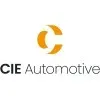 Ícone da CHECAR SERVICOS AUTOMOTIVOS LTDA