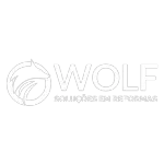 Ícone da WOLF ARQUITETURA E REFORMAS LTDA