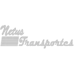 Ícone da NETUS TRANSPORTE LTDA