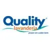 Ícone da QUALITY LAVANDERIA INDUSTRIAL TEXTIL LTDA