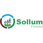 Ícone da SOLLUM EMPREENDIMENTOS FLORESTAIS LTDA