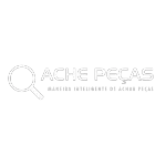 Ícone da ACHE PECAS LTDA