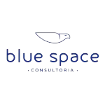 Ícone da BLUE SPACE CONSULTORIA EM GESTAO EMPRESARIAL LTDA