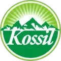 KOSSIL COMERCIAL E DISTRIBUIDORA LTDA