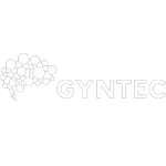 Ícone da GYNTEC PARQUE TECNOLOGICO LTDA