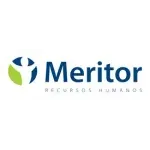 Ícone da MERITOR DESENVOLVIMENTO DE PESSOAS LTDA