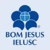 Ícone da ASSOCIACAO EDUCACIONAL LUTERANA BOM JESUSIELUSC