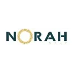 Ícone da NORAH CARE PRODUTOS DE SEGURANCA PARA SAUDE LTDA