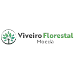 Ícone da VIVEIRO FLORESTAL MOEDA LTDA