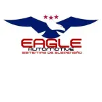 EAGLE AUTOMOTIVE  DISTRIBUIDORA DE PECAS LTDA