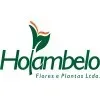 Ícone da HOLAMBELO FLORES E PLANTAS LTDA