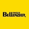 Ícone da BELLENZIER PNEUS LTDA