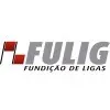 Ícone da FULIG FUNDICAO DE LIGAS LIMITADA