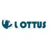 Ícone da LOTTUS PROJETOS E CONSULTORIA LTDA