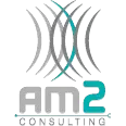 AM2 CONSULTING