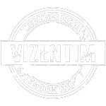 Ícone da MECANICA VIZENTIM LTDA