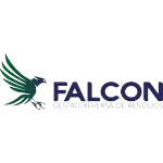 FALCON POLIMEROS DO BRASIL INDUSTRIA DE PLASTICOS LTDA