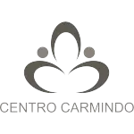 Ícone da CENTRO CARMINDO ADMINISTRACAO E PARTICIPACOES LTDA