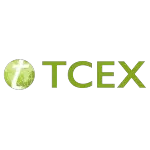 TCEX LOGISTICA INTERNACIONAL LTDA