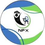 Ícone da NFX  MOVEIS ESCOLARES E PARA ESCRITORIOS LTDA
