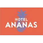 Ícone da HOTEL BOUTIQUE ANANAS LTDA