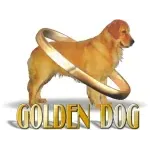 Ícone da GOLDEN DOG LTDA