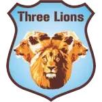 THREE LIONS SEGURANCA PRIVADA LTDA