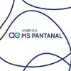 AMBIENTAL MS PANTANAL SPE SA