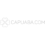 Ícone da CAPUABA ASSESSORIA EMPRESARIAL LTDA