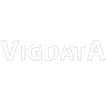 Ícone da VIGDATA SYSTEM EQUIPAMENTOS DE SEGURANCA LTDA