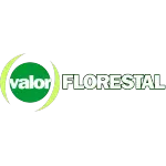 Ícone da VALOR FLORESTAL  GESTAO DE ATIVOS FLORESTAIS LTDA