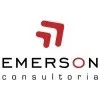 EMERSON RIBEIRO CONSULTORIA