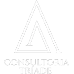 Ícone da TRIADE CONSULTORIA LTDA