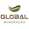 FLEURS GLOBAL MINERACAO LTDA