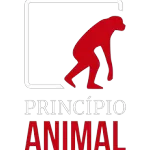 PRINCIPIO ANIMAL
