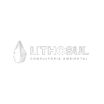 Ícone da LITHOSUL CONSULTORIA AMBIENTAL LTDA