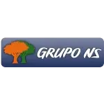 GRUPO NS