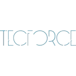 Ícone da TECFORCE METAIS INDUSTRIA E COMERCIO LTDA