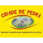 Ícone da TRANSPORTES COLETIVOS CIDADE DE PEDRA LTDA