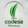 CONSELHO DE DESENVOLVIMENTO ECONOMICO SUSTENTAVEL E ESTRATEGICO DE MANAUS  CODESE MANAUS