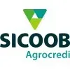 Ícone da COOPERATIVA DE CREDITO AGROCREDI LTDA  SICOOB AGROCREDI