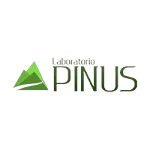 Ícone da PINUS INDUSTRIA E COMERCIO LTDA