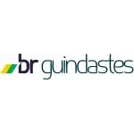 Ícone da BR GUINDASTES LOCACOES E MONTAGENS LTDA