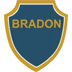 Ícone da BRADON SERVICOS LTDA