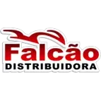 Ícone da FALCAO DISTRIBUICAO E IMPORTACAO DE MOTOS E PECAS AUTO PECAS LTDA