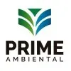 PRIME AMBIENTAL